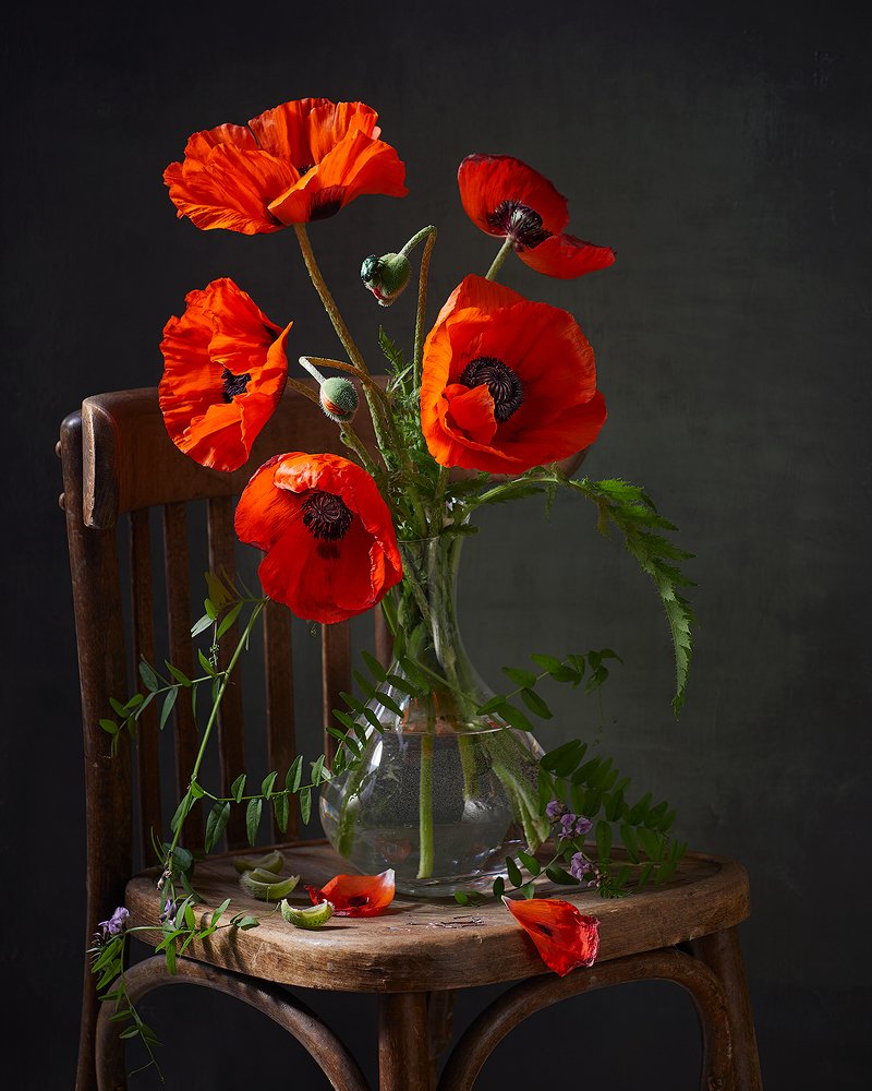 Photograph by Алена Кутникова