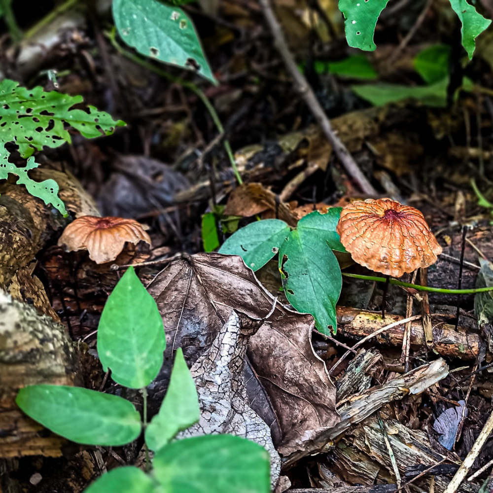 Фотография автора Javier Castillo