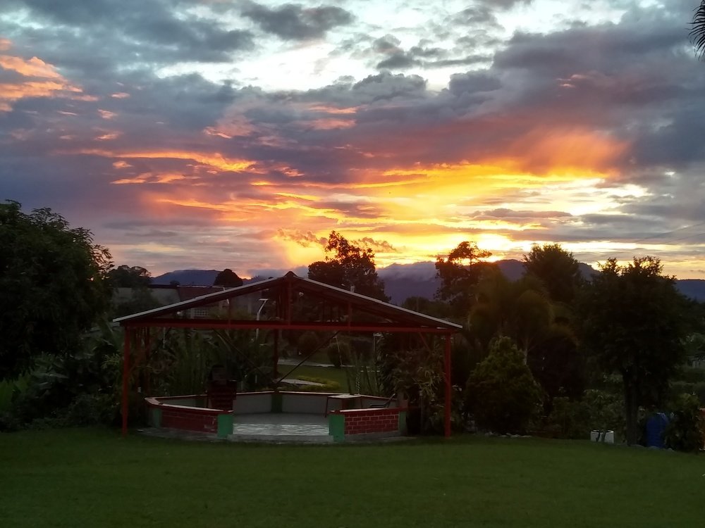 Photo #4755181