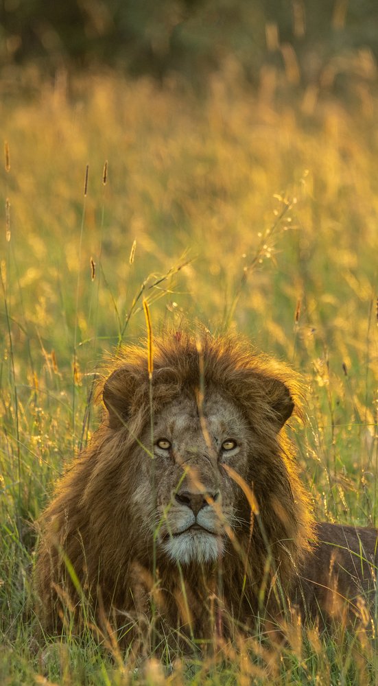 Photograph by Hari Kumar