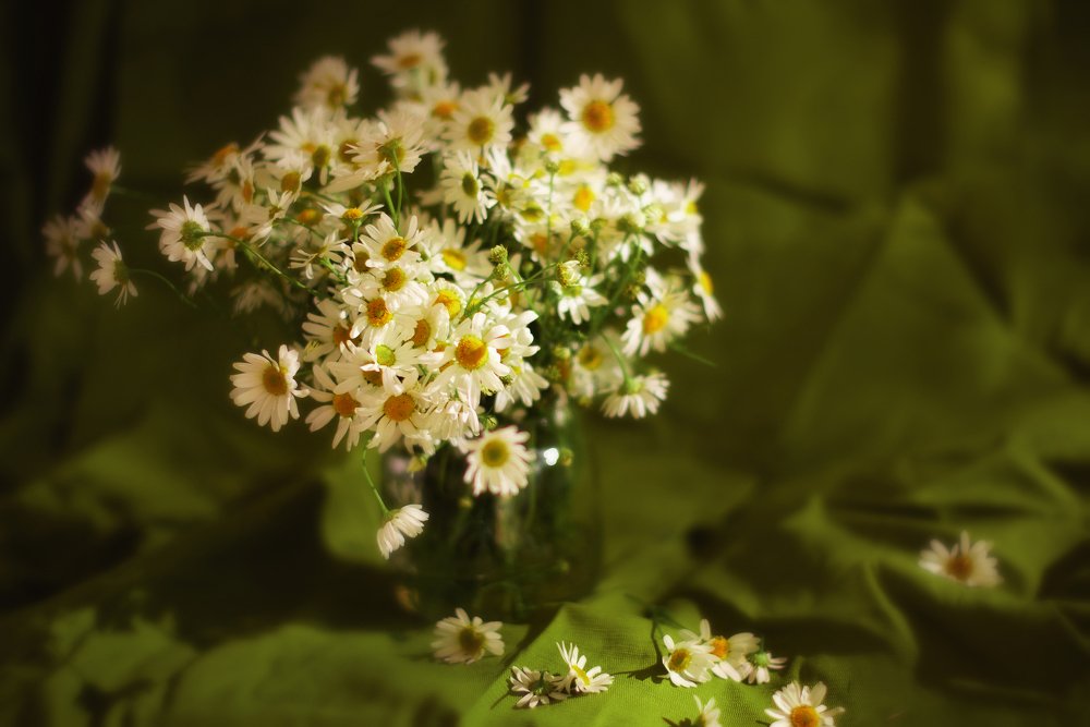 Photograph by Роман Инодворский