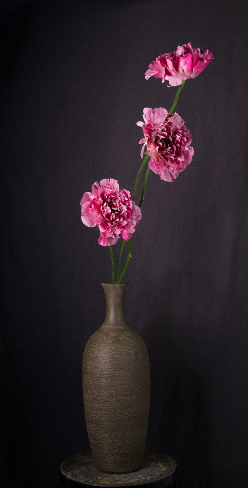 Photograph by Мария Щедрина