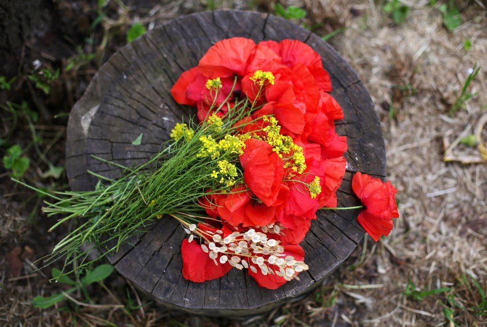 Photograph by Наталья Жалнина
