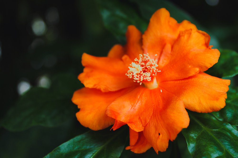 Photo #4755400