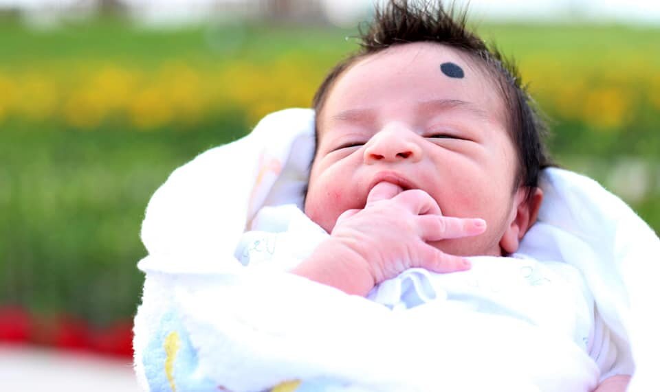 Photo #4755462