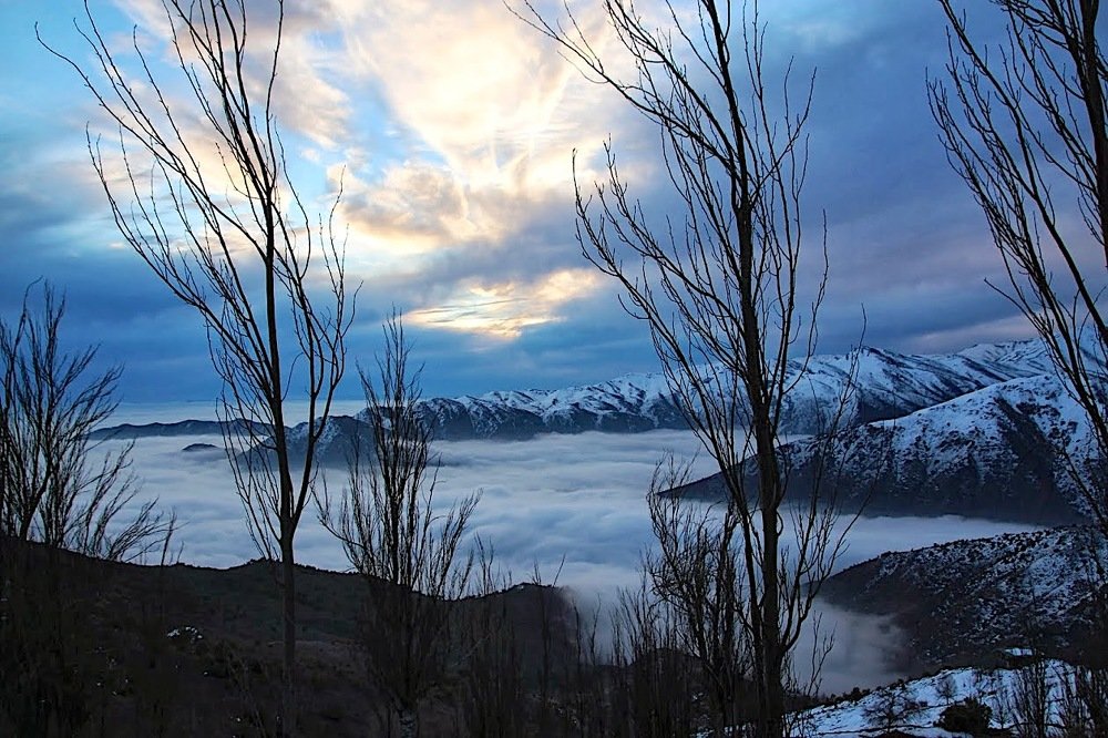 Photograph by Maria Angelica Urzua Piffaut