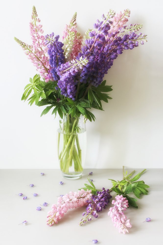 Photograph by Эльза Давлеева