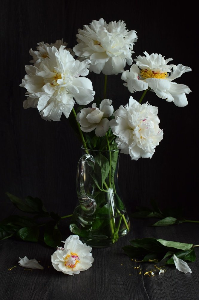 Photograph by Екатерина Долова