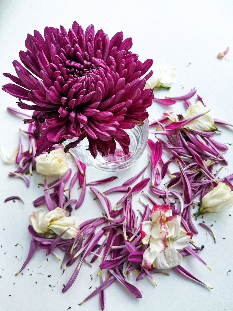 Photograph by Анастасия Воробьева