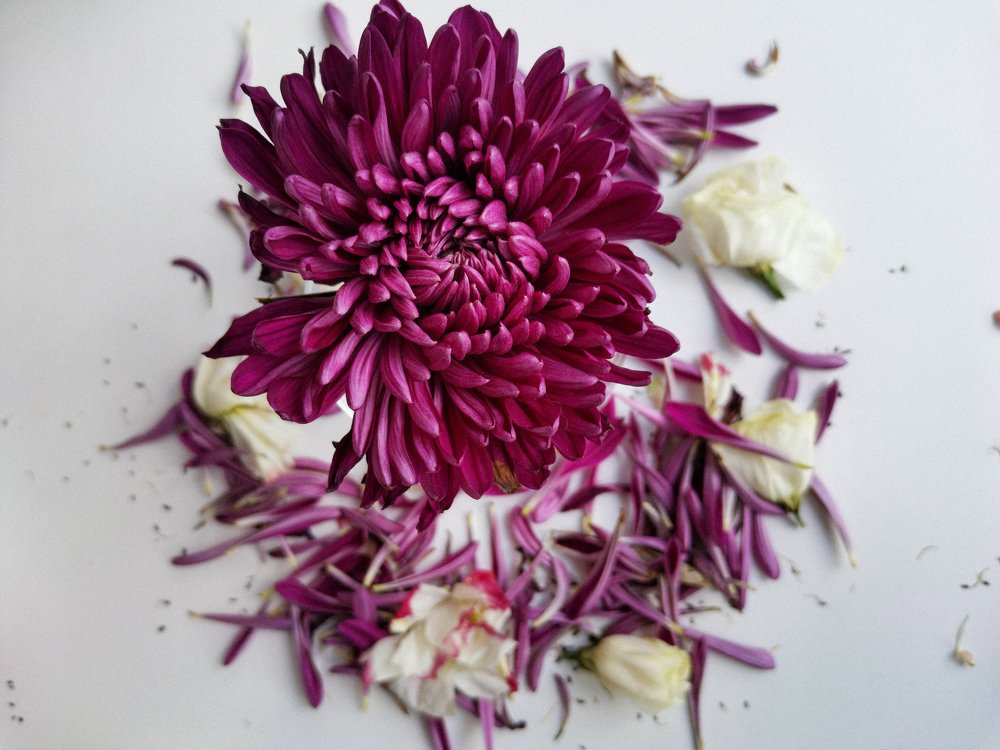 Photograph by Анастасия Воробьева