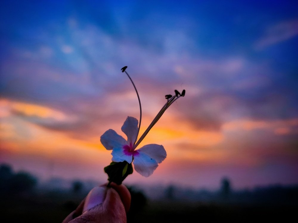 Photograph by Debarshi Das