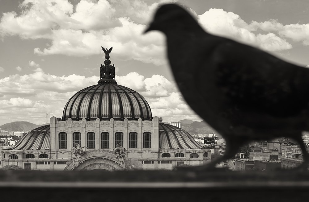 Photograph by Yamile Alfaro Picco