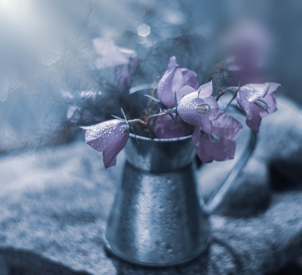 Ностальгия