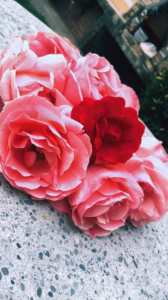 Photograph by Matilda Miraka