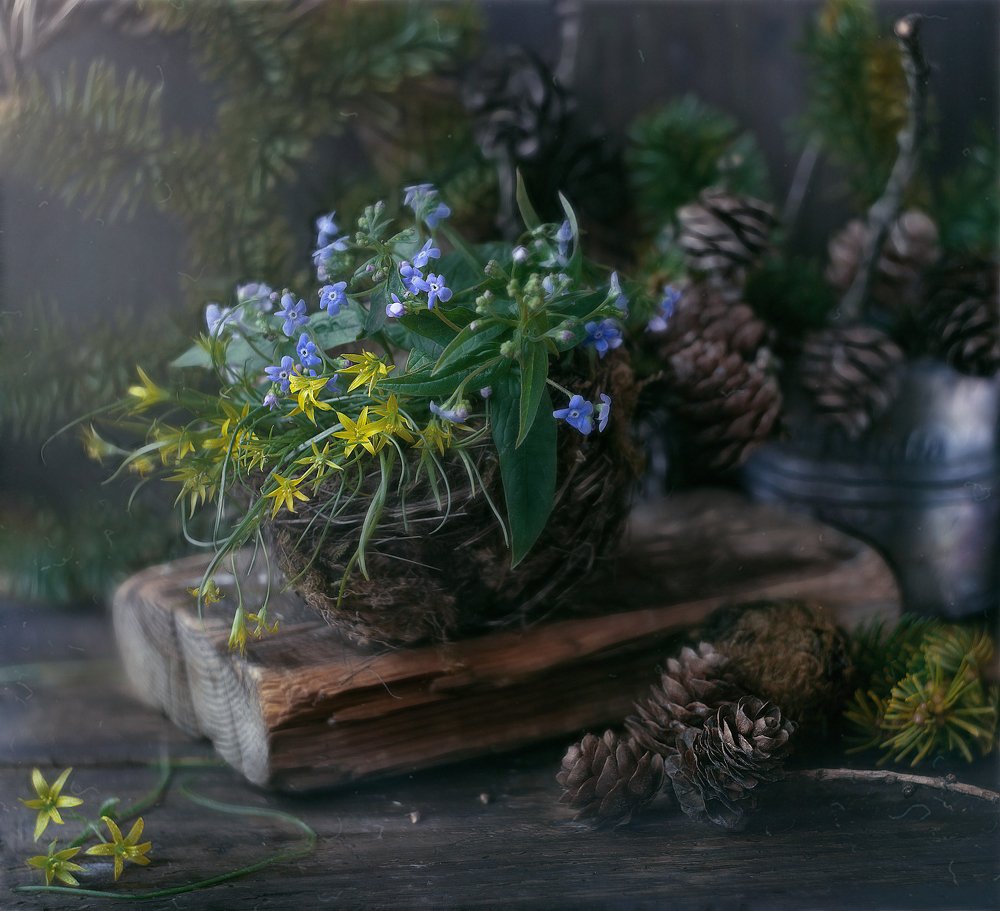 Photograph by Svoboda Andreeva