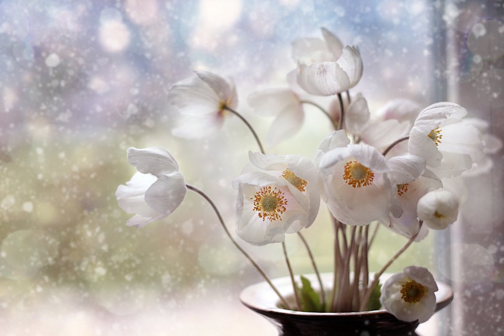 Photograph by Надежда Тарасенко