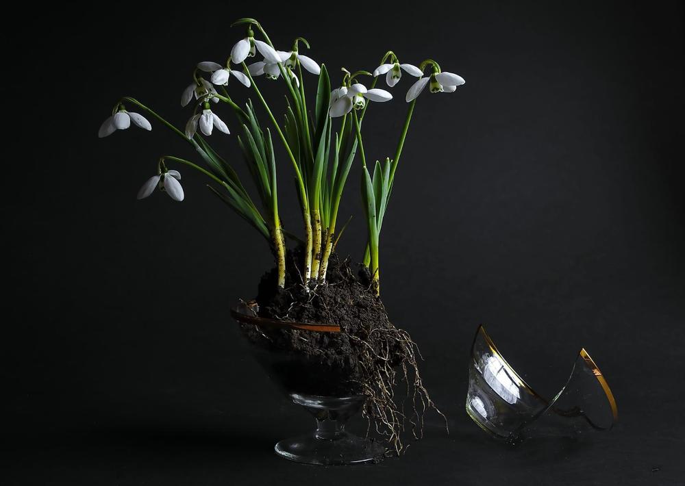 Прорыв к свободе .