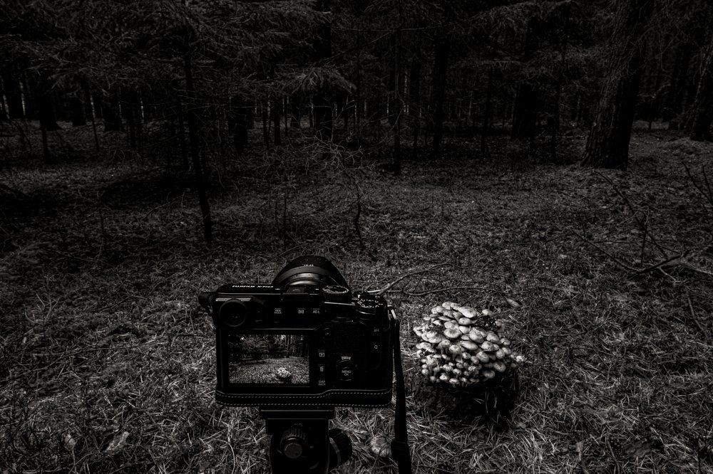 Photograph by Guenter Mik