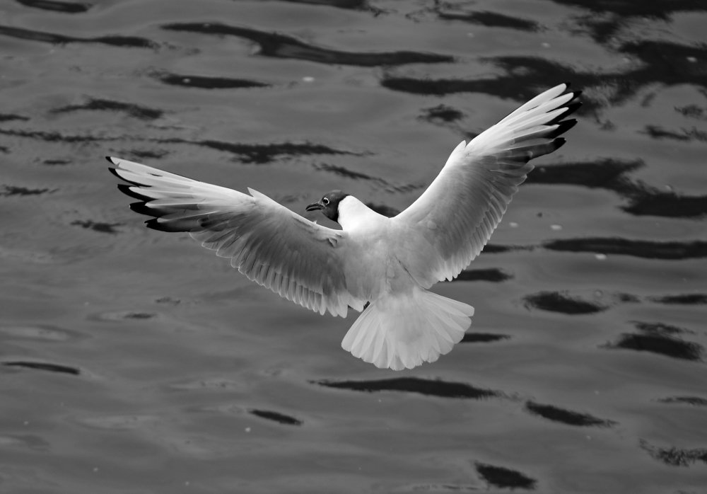 Photograph by Станислав Вершинин