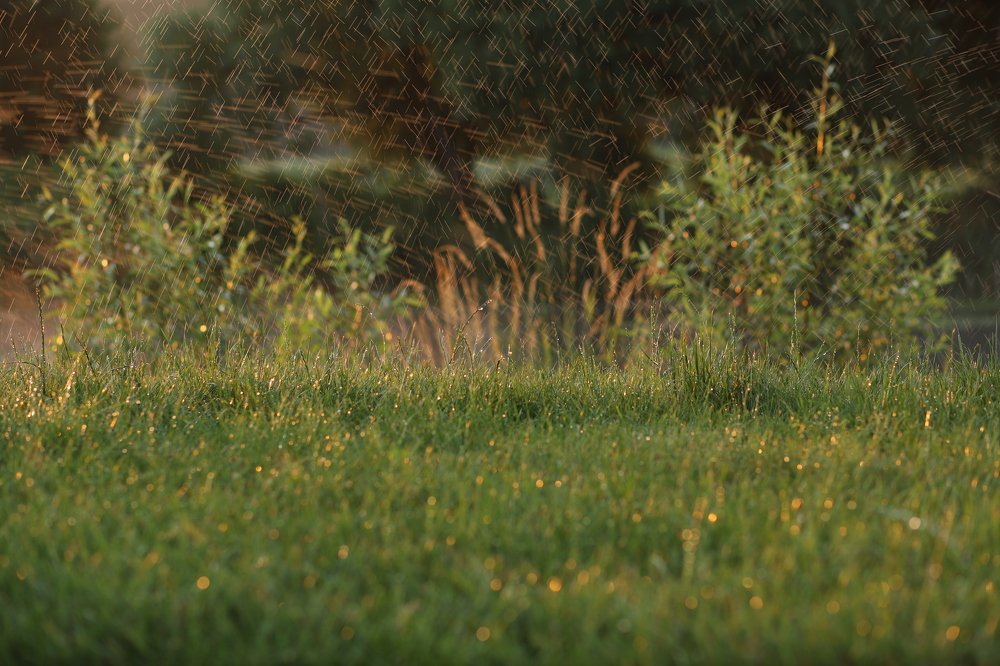 Photograph by Юлия Мельник