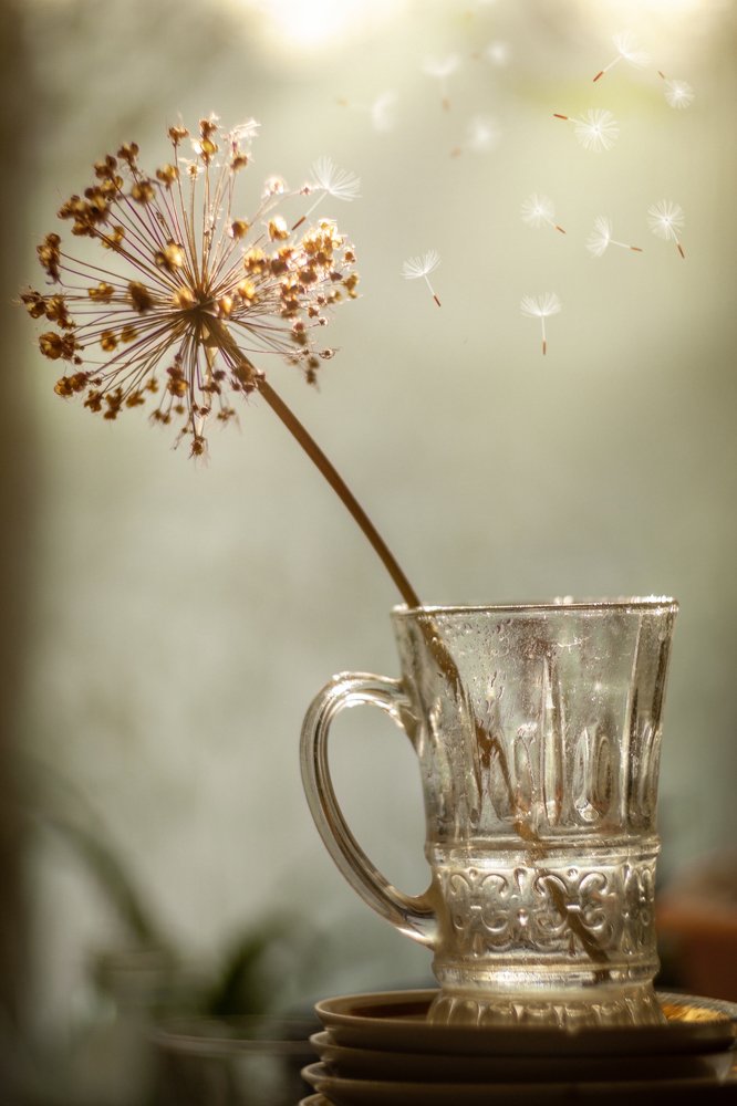 Photograph by Игорь Мирнов