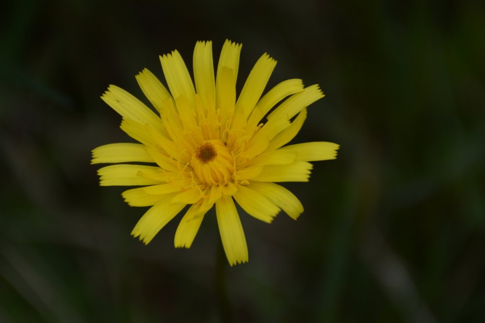 Photograph by aysun güneş