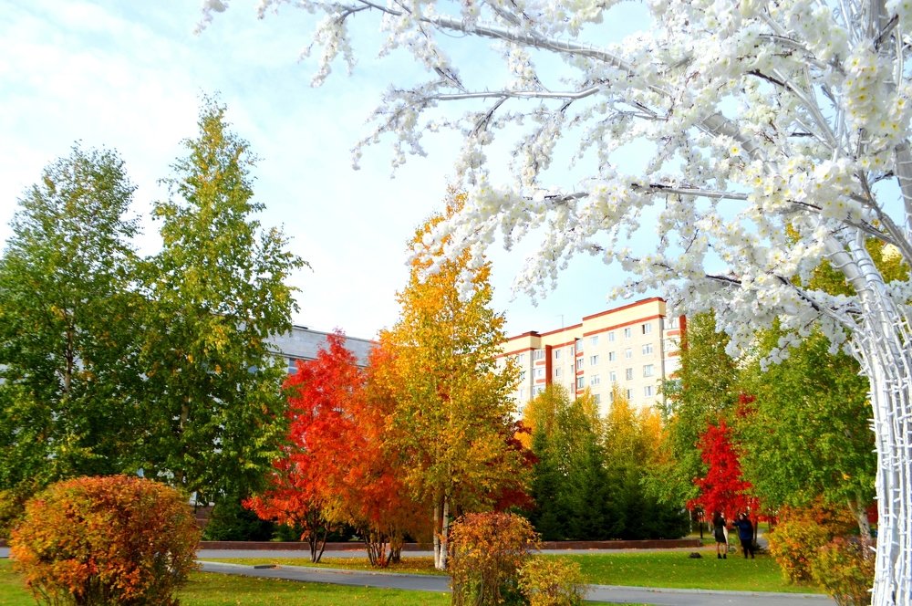 Лангепасская акварель