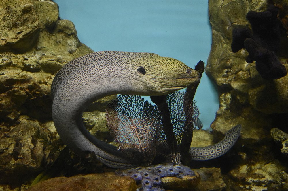 Photograph by Наталья Аржинт