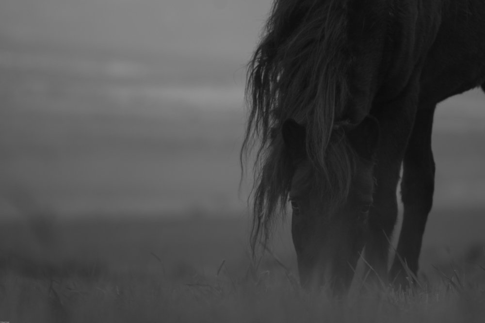 Photograph by miguel angel callejas