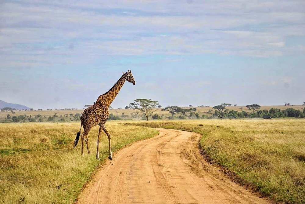 Photograph by Protik Dey