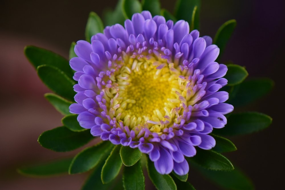 Photograph by Наталья Аржинт