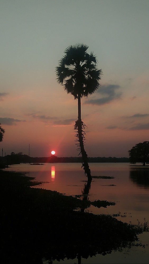 Photo #4756468