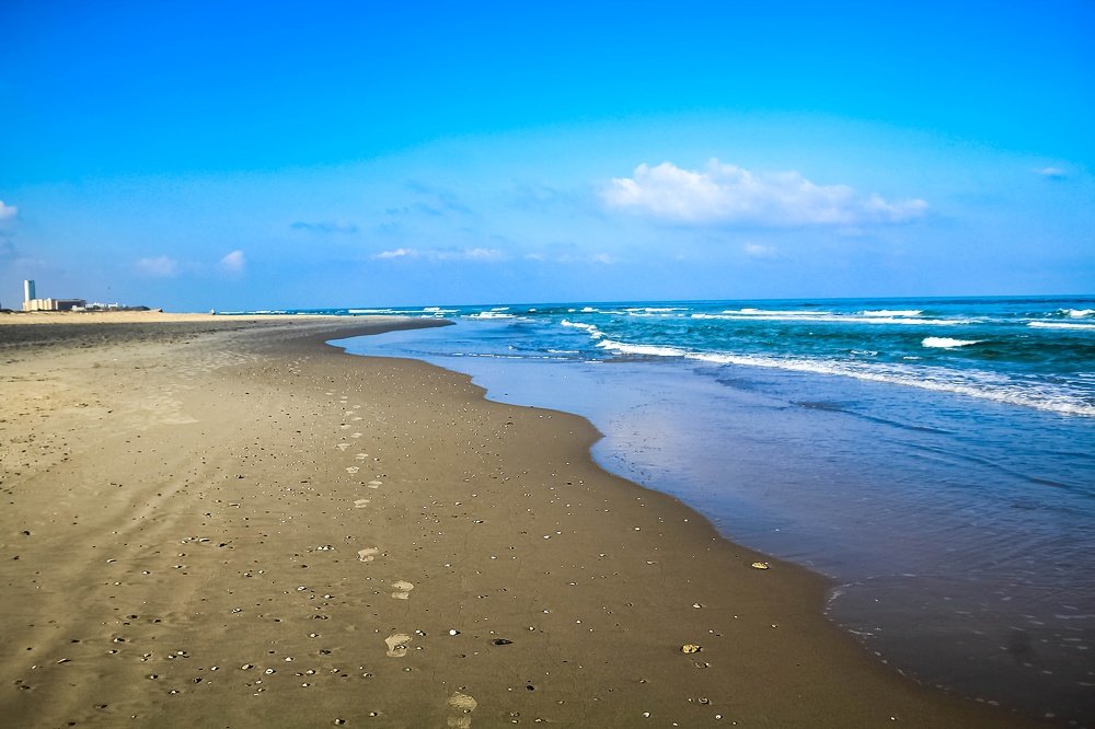 Photograph by Debbie Strauss