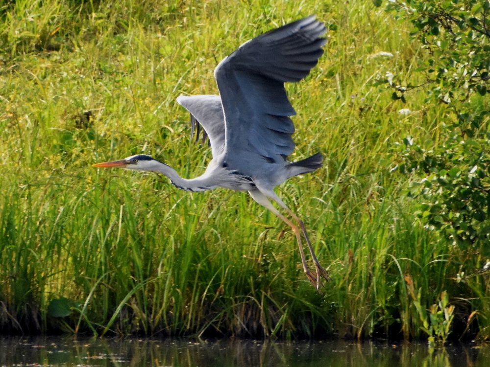 Photograph by Наталья Аржинт