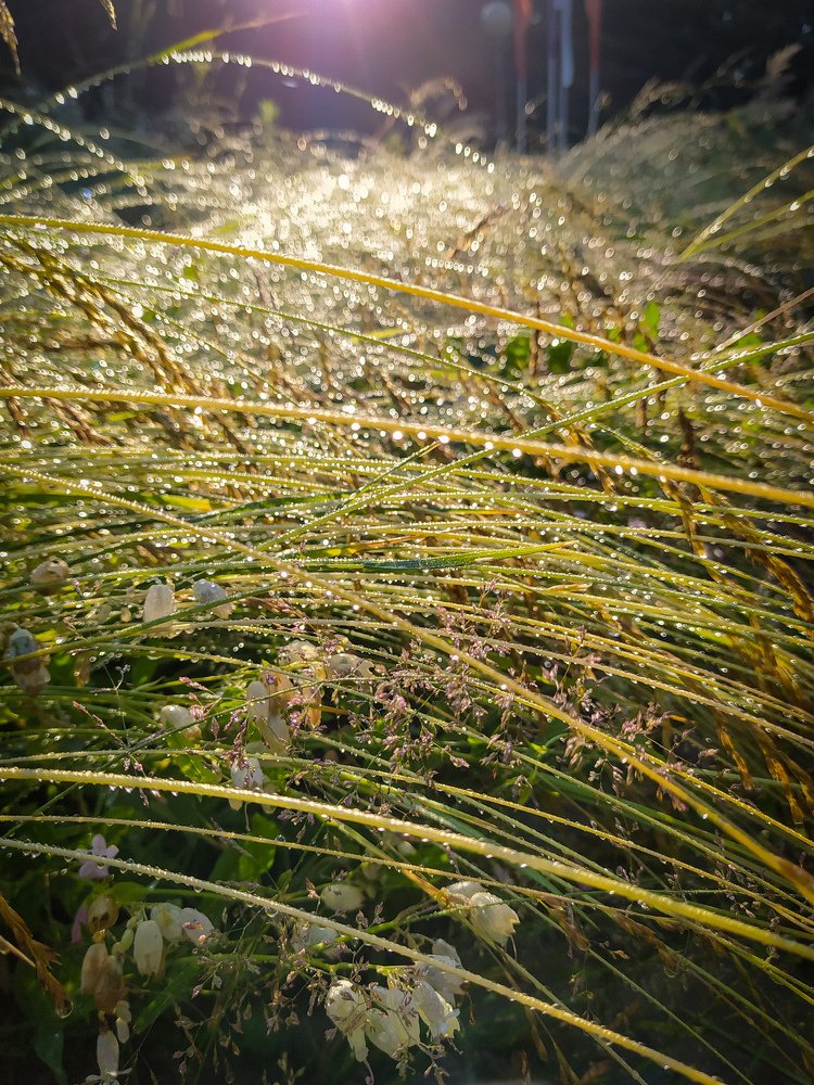 Photograph by Алексей