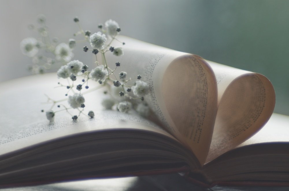 Photograph by Ольга Распопова