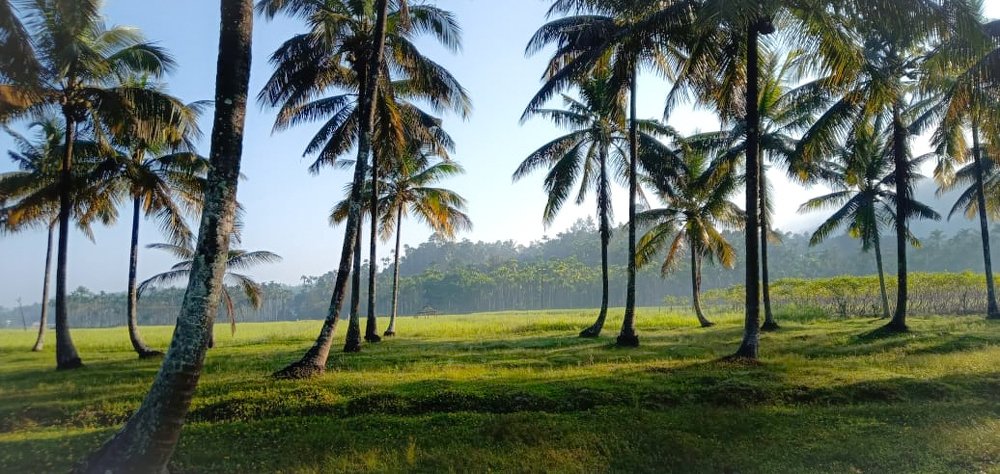 Photograph by Prem