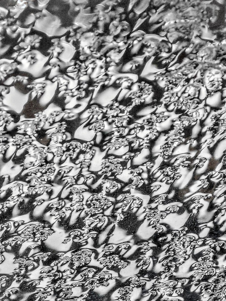 Photograph by Daniel Núñez