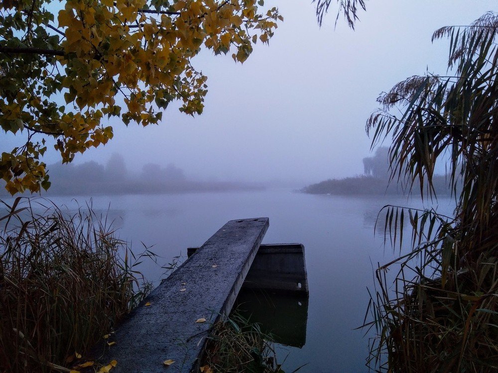 Photograph by Денис Лащ