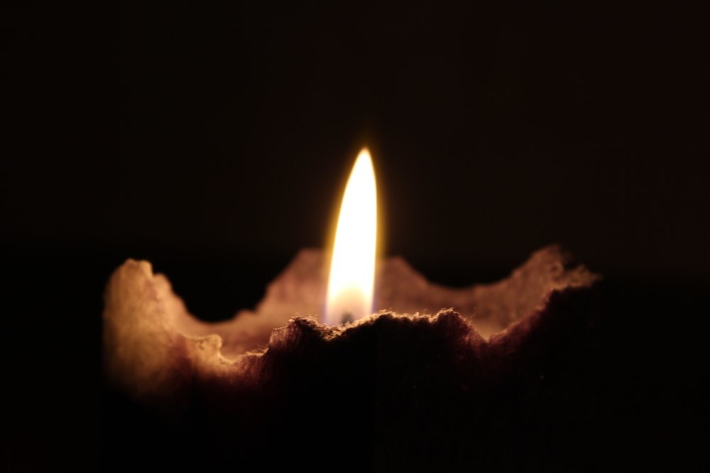 Photograph by Елена Кокоулина