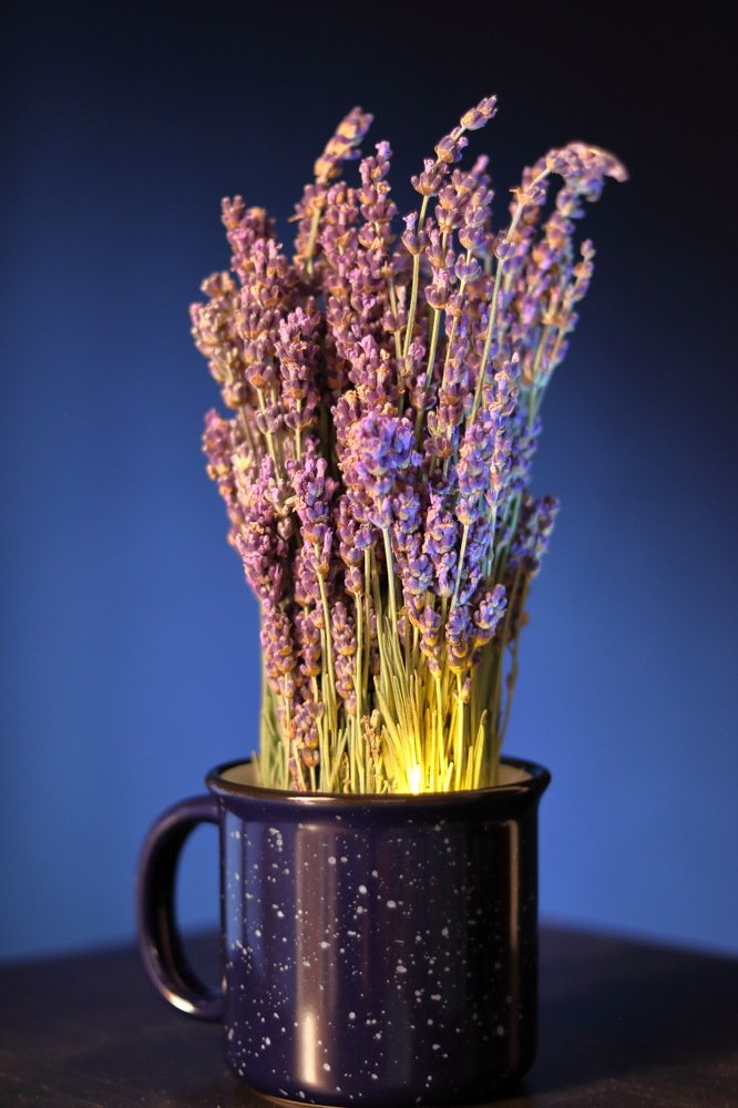 Photograph by Alexandr Tulinov