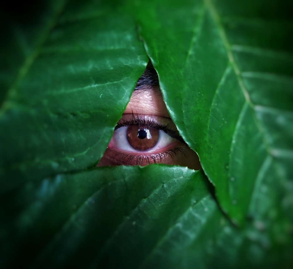 Photograph by Bharath P