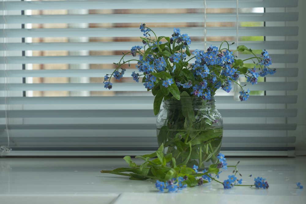 Photograph by Любовь Головина