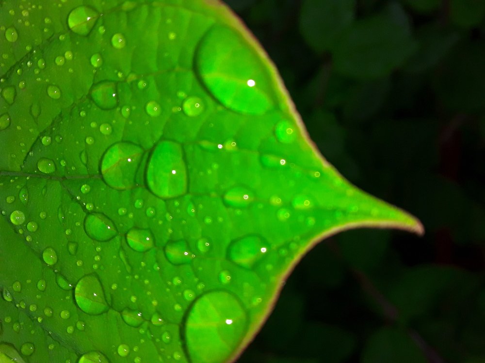 Photograph by Татьяна Собенникова