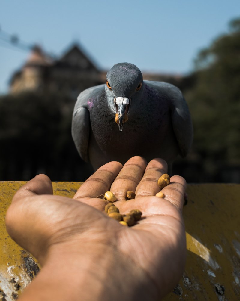 Photograph by Prashant Gurung
