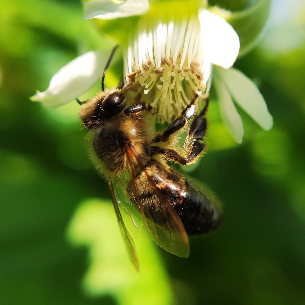 Фотография автора Станислав Ермолин