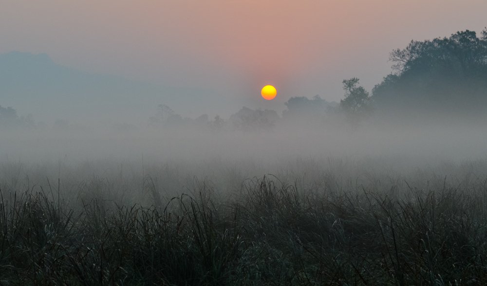 Photograph by Pramathesh Saha