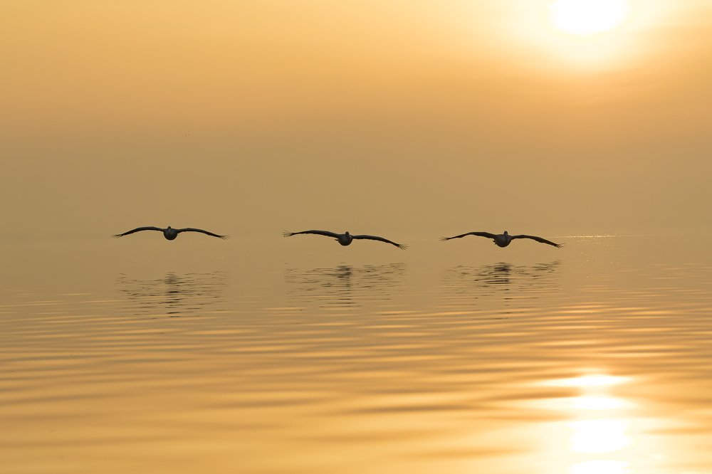 Early morning flight