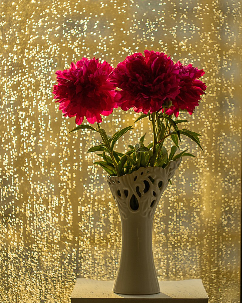 Photograph by Ольга Дождикова