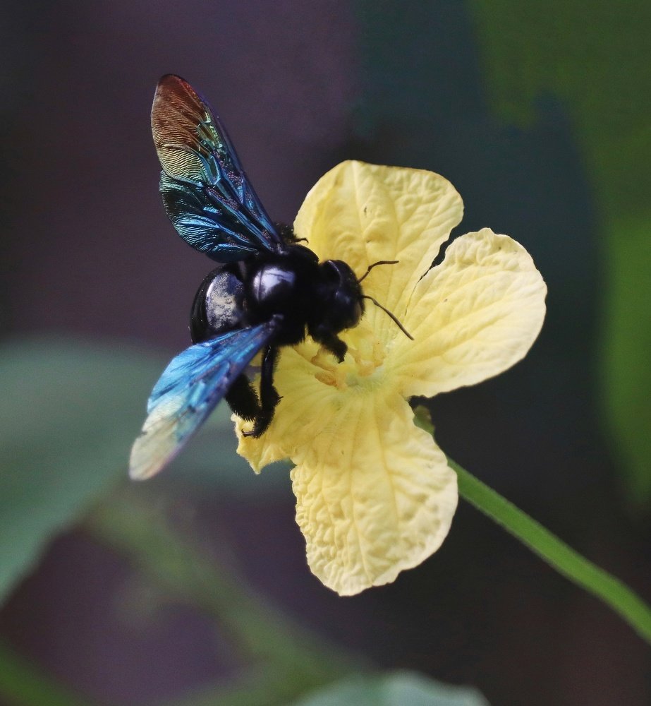 Photograph by Sandy Daniel